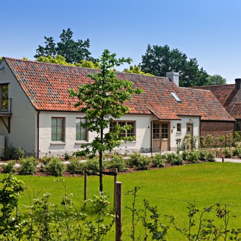 Project Waregem country style