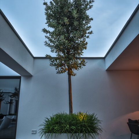 Modern wellness garden in Marbella style