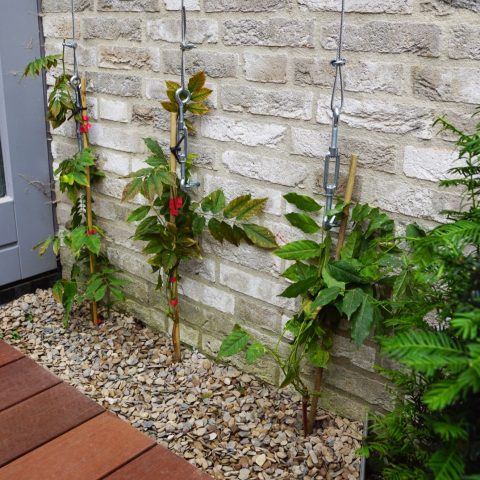 Patio garden in balance