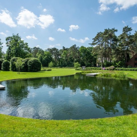 Rural garden with swimming pond