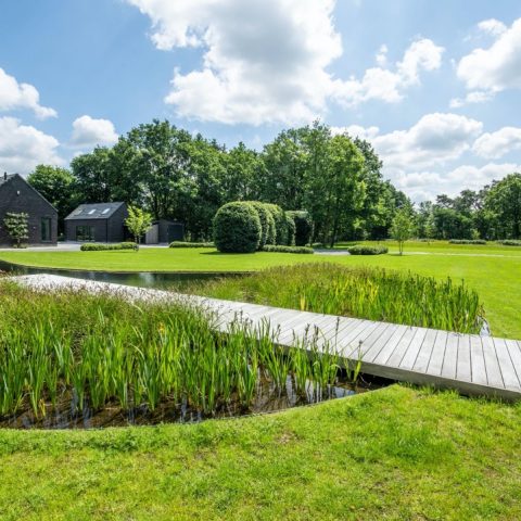Rural garden with swimming pond