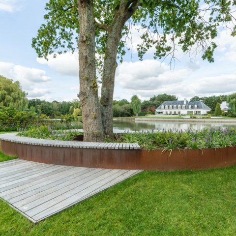 Sleek modern garden