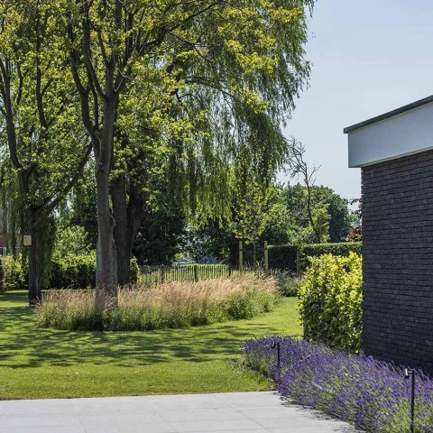Modern garden with swimming pool and pool house