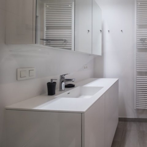 Project Hasselt