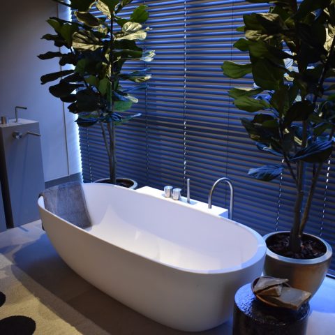 Designer bathroom