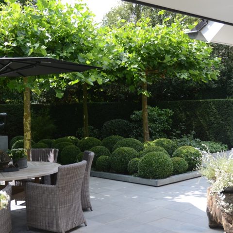 Modern garden with lounge