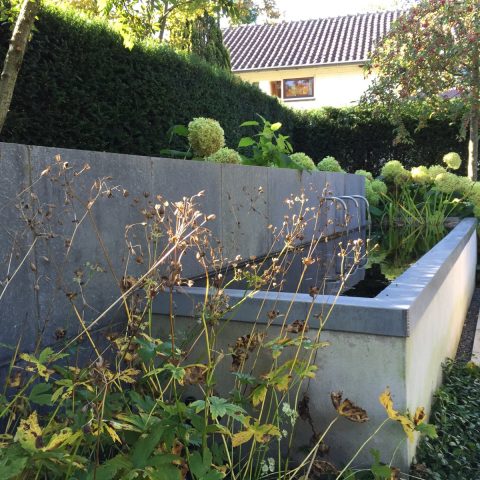 Modern small gardens
