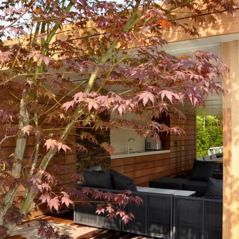 Wellness Garden