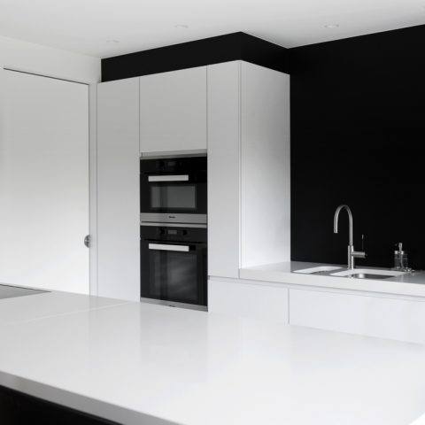 Renovation Bel-etage house