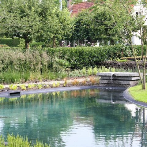 Garden with natural swimming pool in Soest