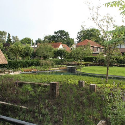 Garden with natural swimming pool in Soest