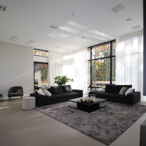 Modern forest villa