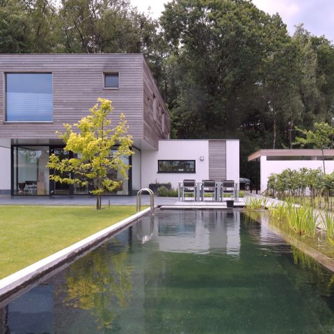 Minimalist villa