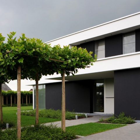 Modern villa Baal