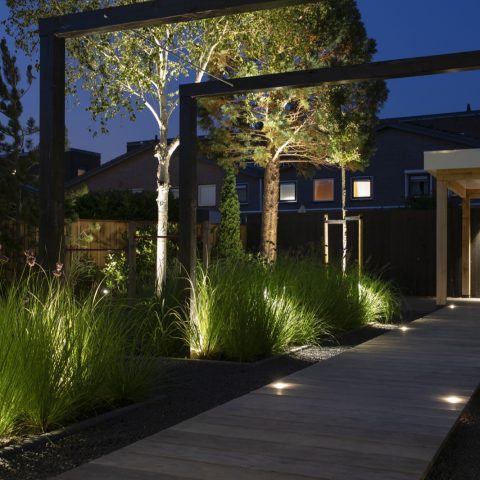 Modern villa garden