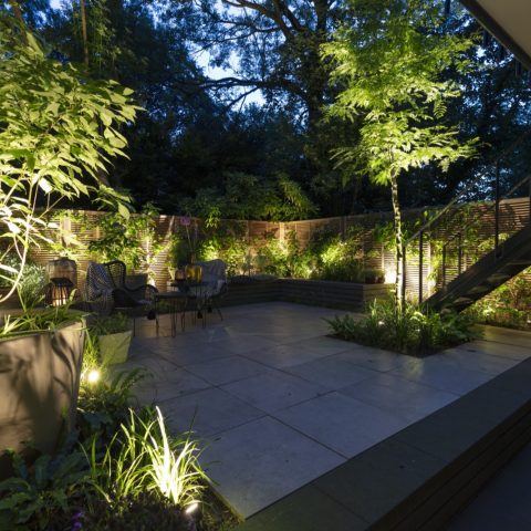 High-quality illuminated city garden