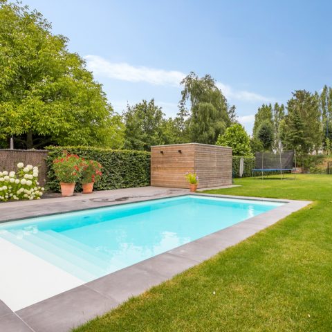 Nova pool with lounge