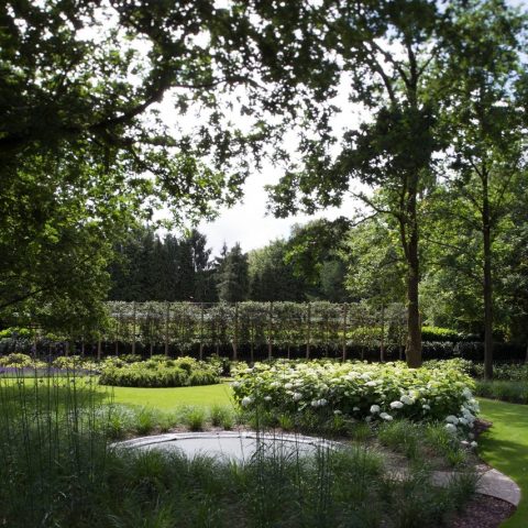 Design a rural garden