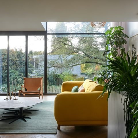 Drive-in home