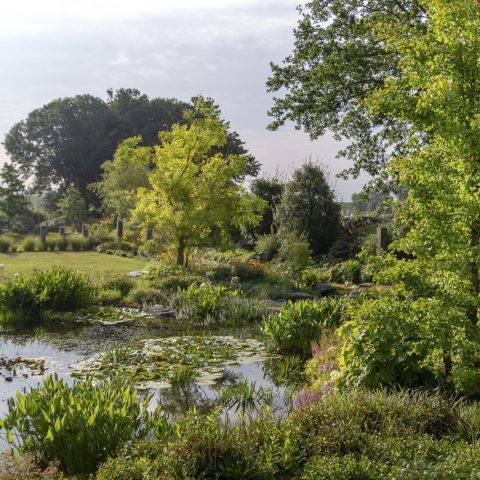 The Stream Garden