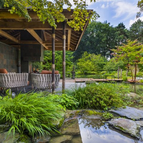 Exclusive Japanese Water Garden