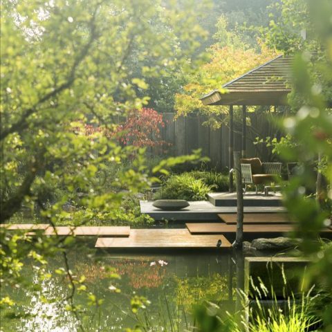 Exclusive Japanese Water Garden