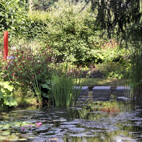 Natural Swimming Pond
