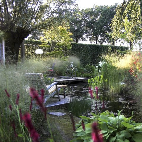Natural Swimming Pond