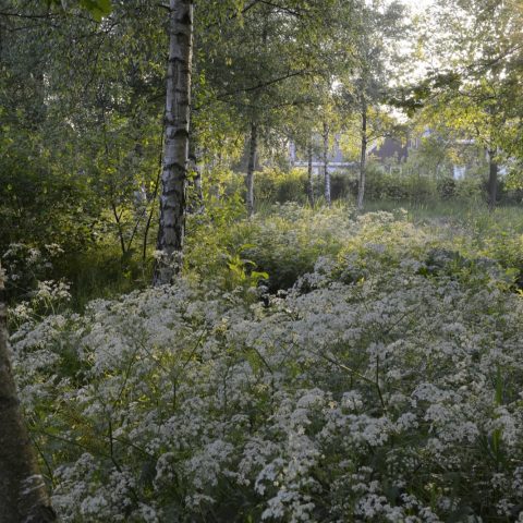 The Liskeshoeve