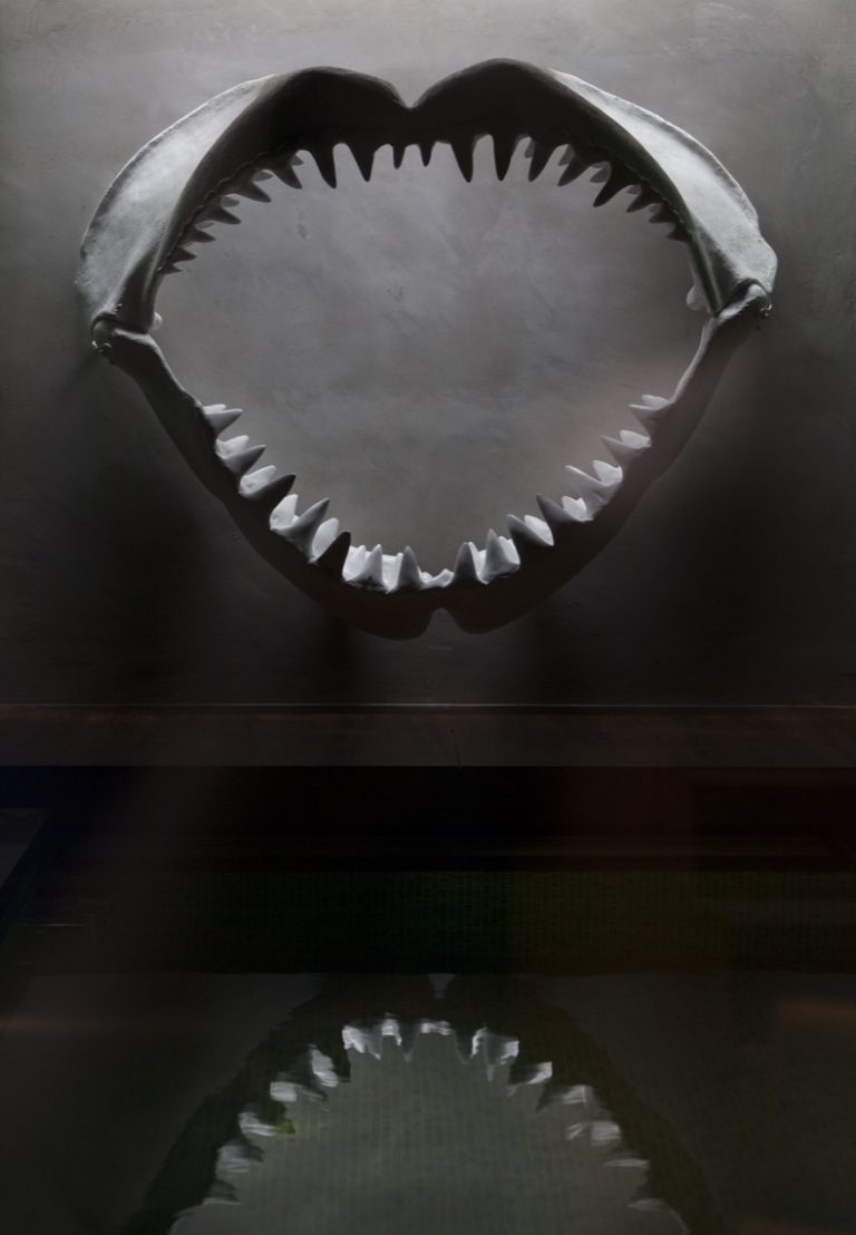 Shark House HOOG.design Exclusive living inspiration