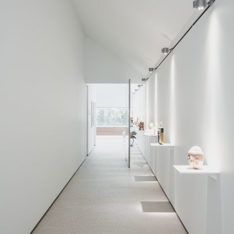 Modern house with ANYWAYdoors interior doors