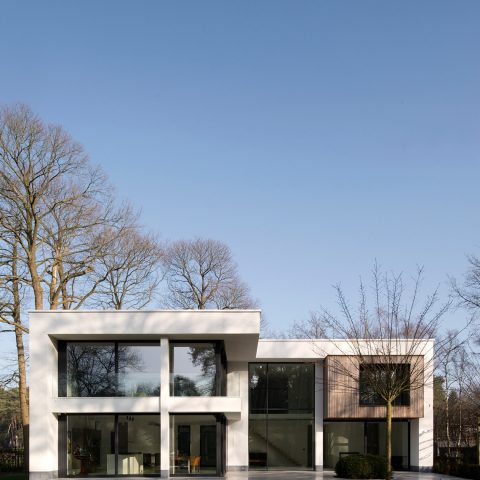 Modern pivot doors