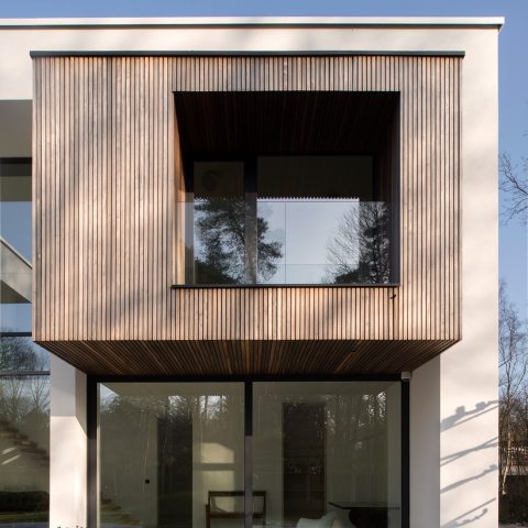 Modern pivot doors