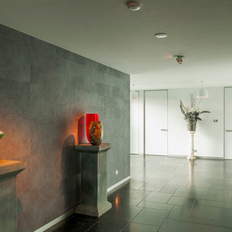 Modern house with floor-to-ceiling interior doors