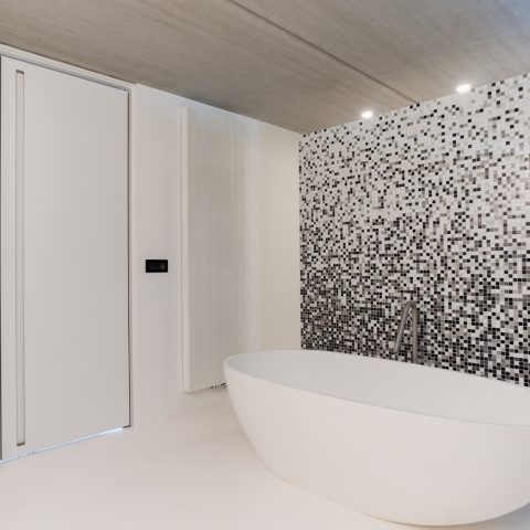 Modern interior doors with minimal aluminum frame