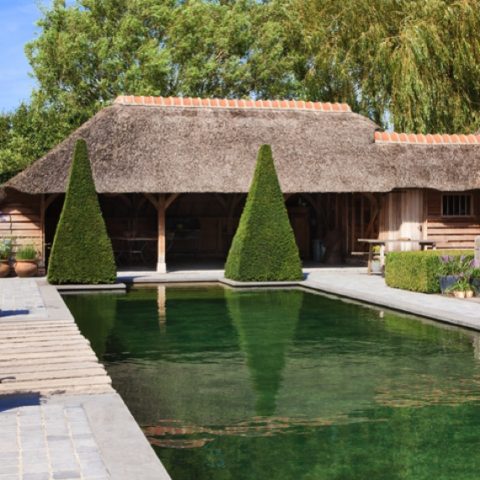 Stylish swimming pond in Hoogstraten