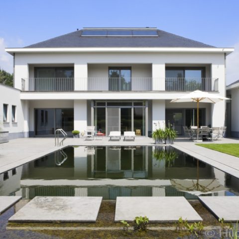Swimming pond sleek shape