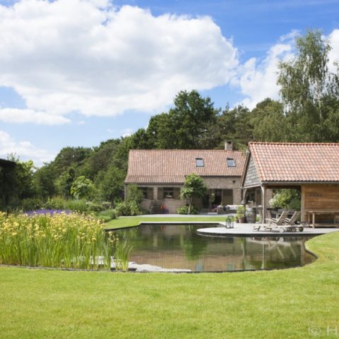 Natural swimming pond that fits into the landscape