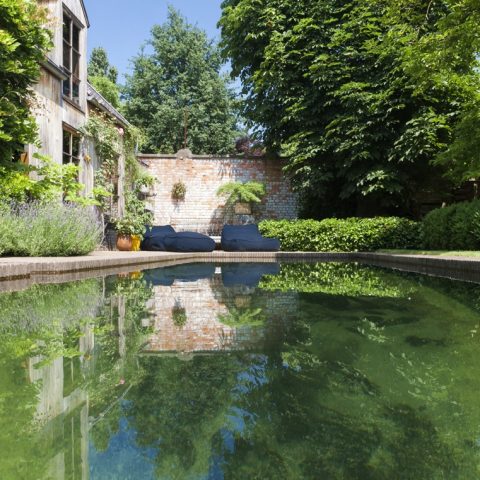 Exclusive swimming pond next to wooden pool house in city garden designed by Wirtz