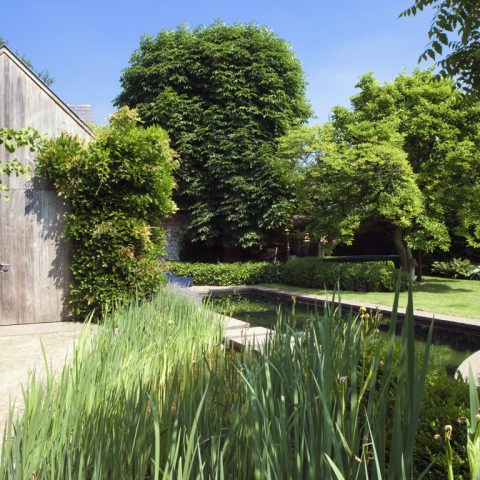 Exclusive swimming pond next to wooden pool house in city garden designed by Wirtz