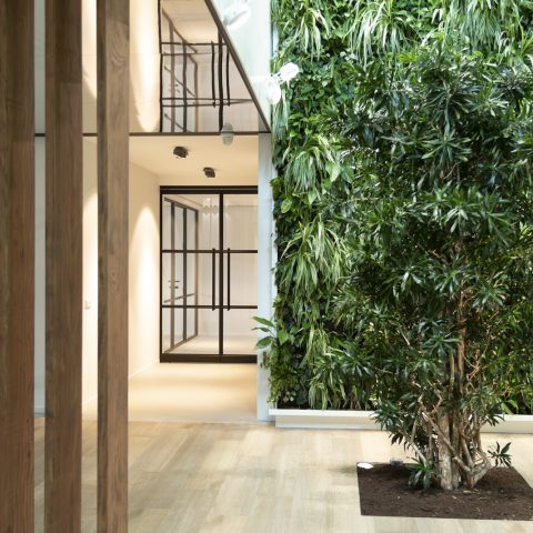 Steel doors from De Rooy in an inspiring workplace