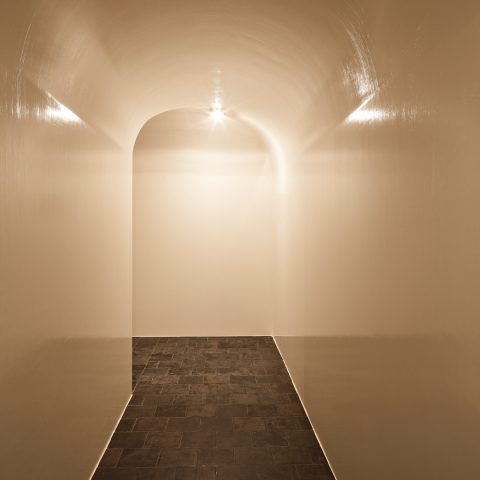 Traditional painting & stucco with a high-gloss brushed hall of the Antwerp castle house