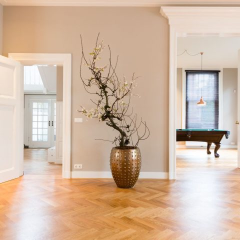 Villa Haarlem