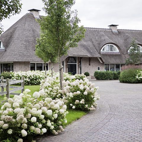 ‘t Harde