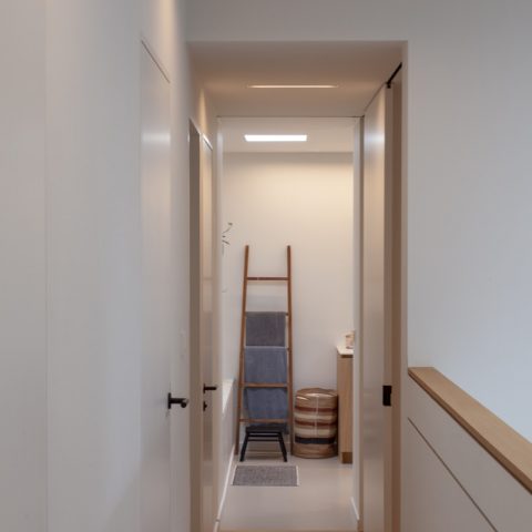 Painting duplex apartment with showroom