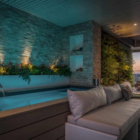 Roof garden with swimming pool in Amsterdam