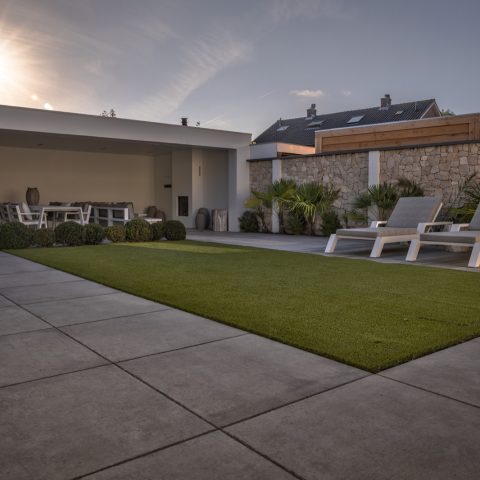 Frontyard. Backyard. Interior.