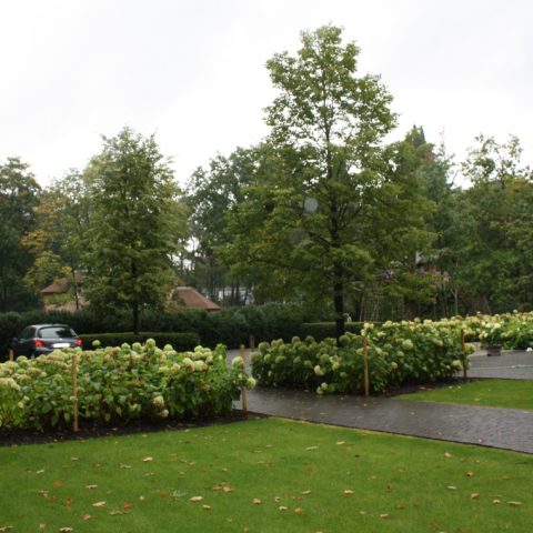 Construction of park garden Old Turnhout