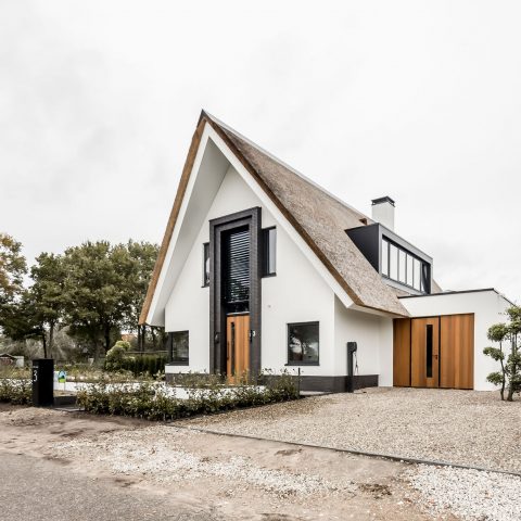 Modern villa with thatched roof