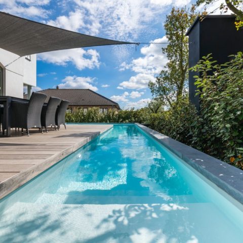 Modern garden